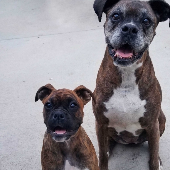 Meet your Posher, A - Picture 1 of 1